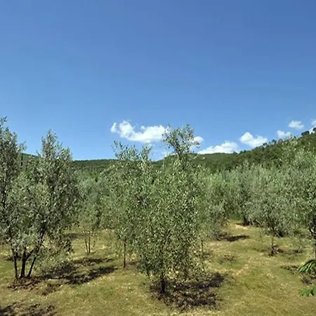Tuscan Charme Of Roccaio Countryside Cortona Holiday home *